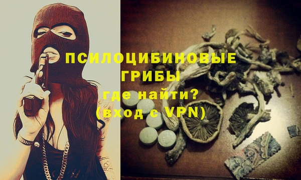 марки nbome Гусев