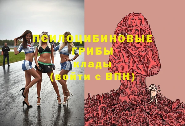марки nbome Гусев