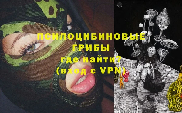 ALPHA PVP Вяземский