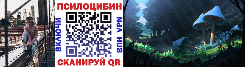 Галлюциногенные грибы Psilocybe  Гусиноозёрск 